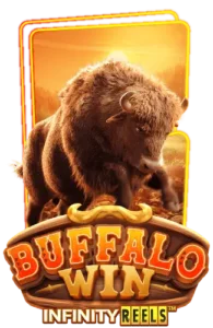 buffalo-win