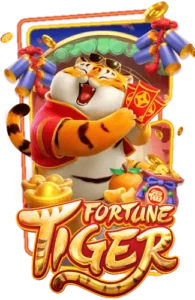 fortune-tige